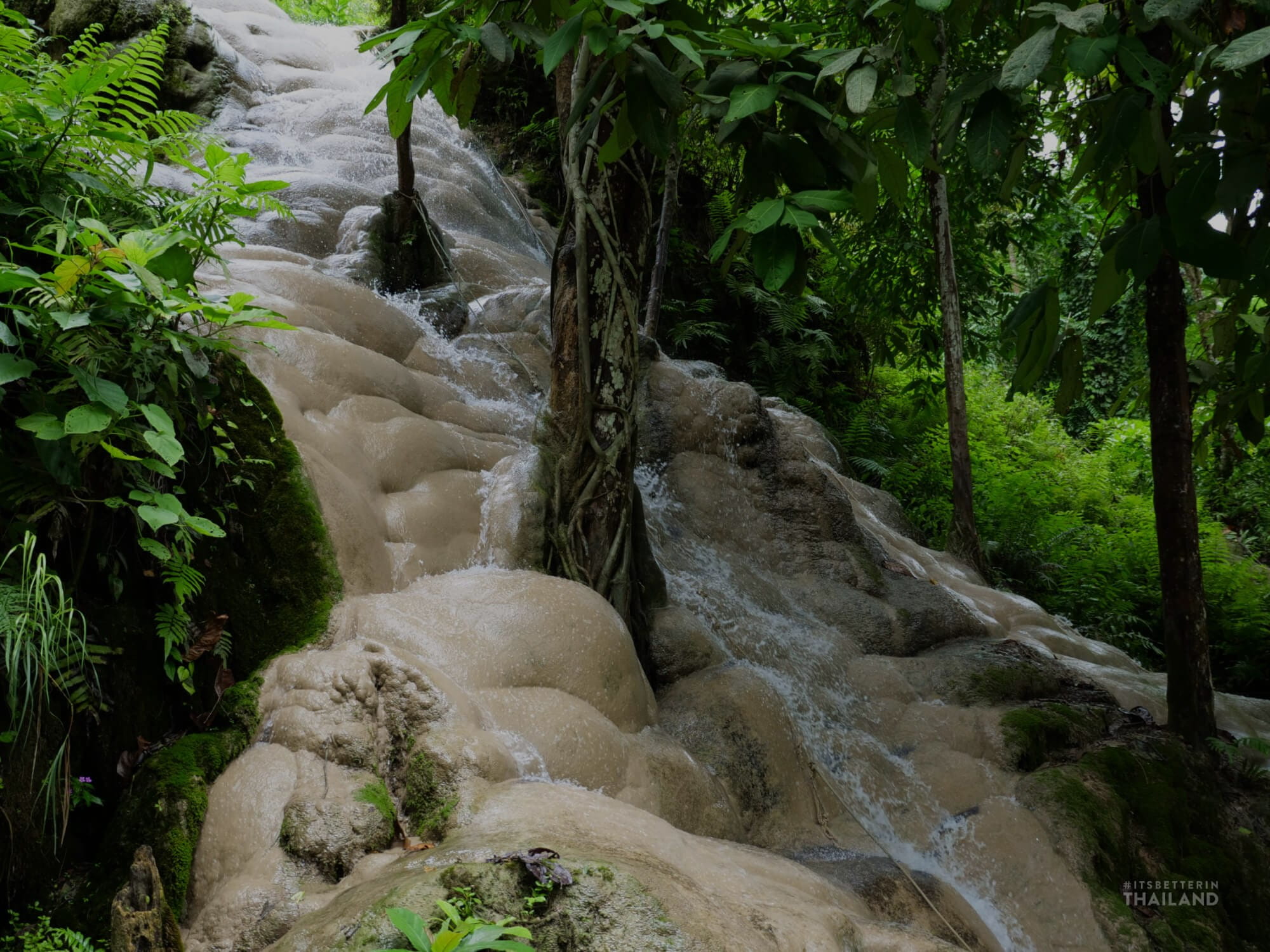 Bua Thong Sticky Waterfalls